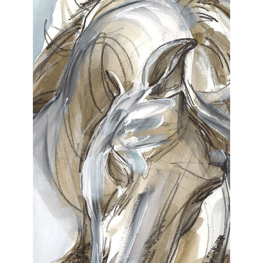 Horse Abstraction I Poster Print - Jennifer Paxton Parker-VARPDX128862Z Image 1