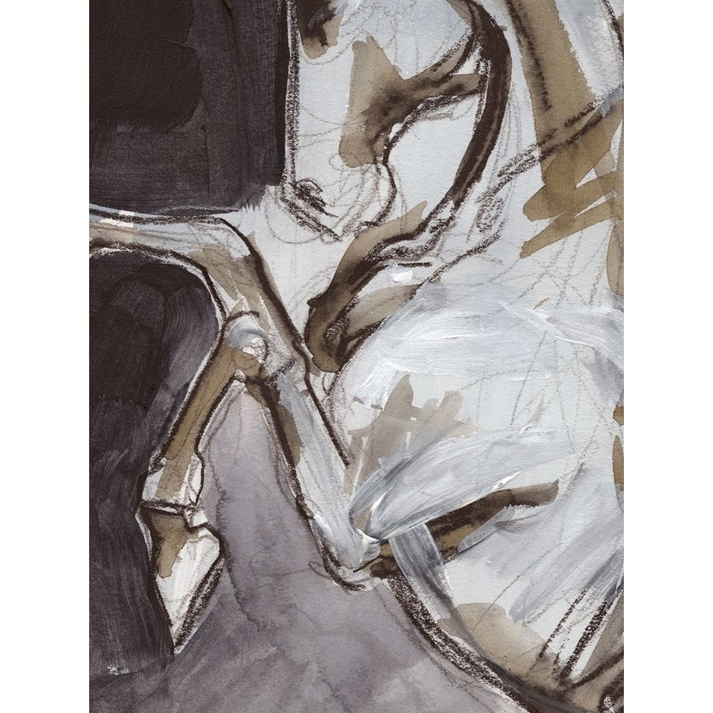 Horse Abstraction IV Poster Print - Jennifer Paxton Parker-VARPDX128865Z Image 1