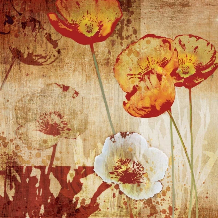 Poppy Heat I Poster Print by Tandi Venter-VARPDX12892 Image 1