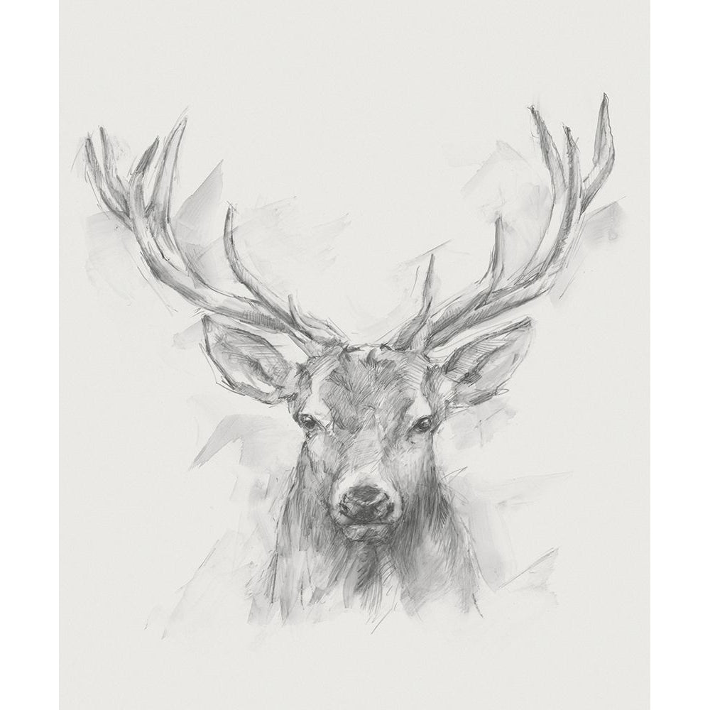 Contemporary Elk Sketch I Poster Print - Ethan Harper-VARPDX129013Z Image 1