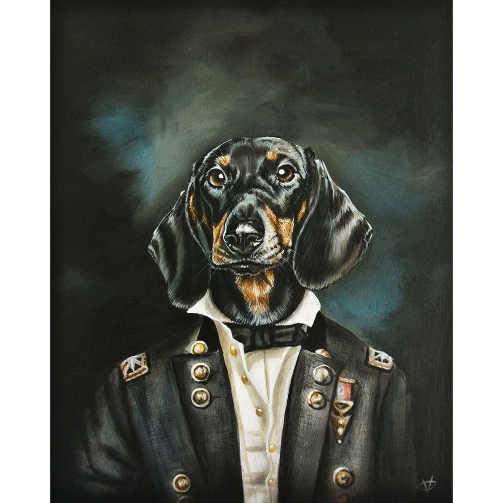 Distinguished Dachshund Poster Print - Victoria Coleman-VARPDX129040GG Image 1