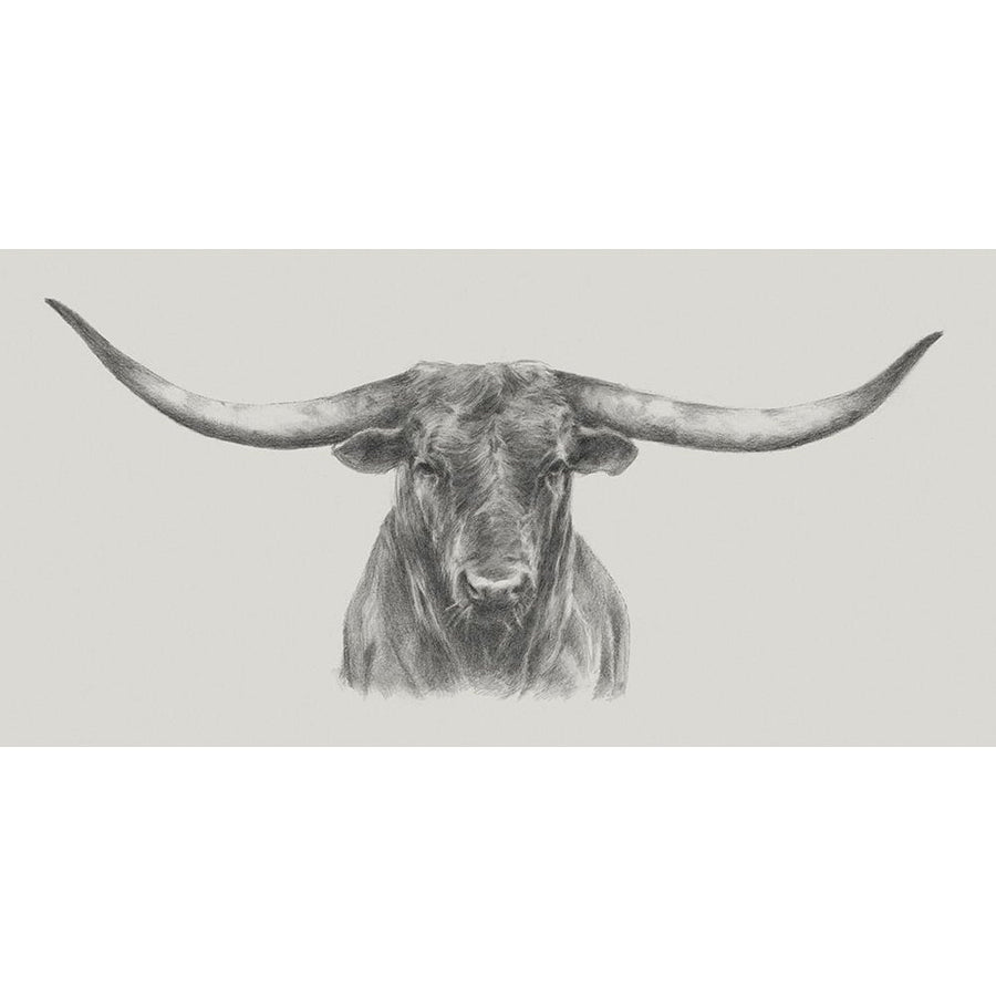 Longhorn Bull Poster Print - Ethan Harper-VARPDX129121Z Image 1