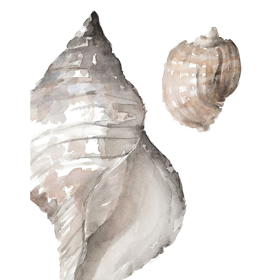 Tonal Shell I Poster Print by Lanie Loreth-VARPDX12945 Image 1