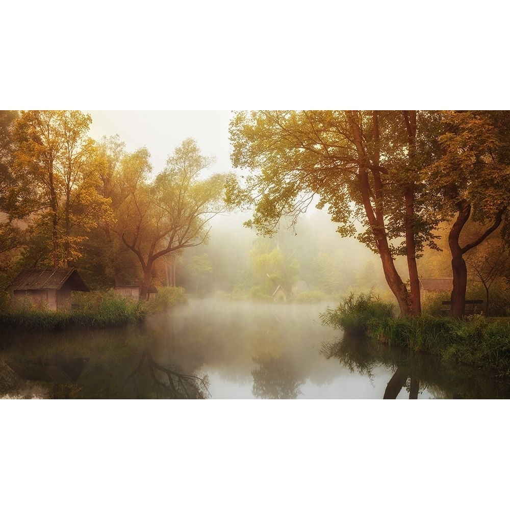 Foggy Autumn Poster Print - Leicher Oliver-VARPDX1295233 Image 1