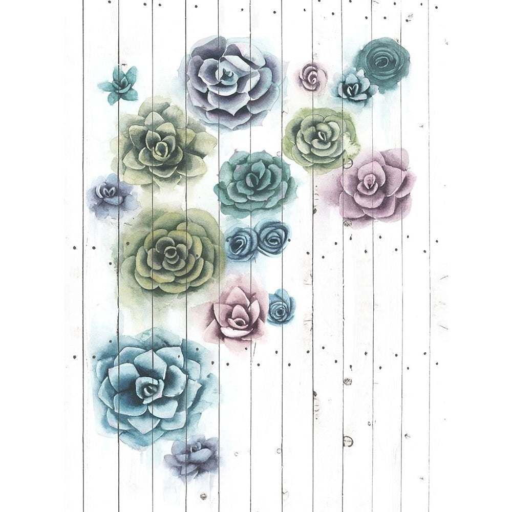 Shiplap Succulent Cluster II Poster Print - Grace Popp-VARPDX129557GG Image 1