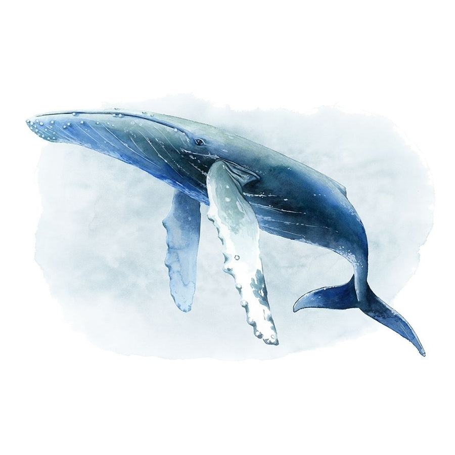 Watercolor Humpback II Poster Print - Grace Popp-VARPDX129579Z Image 1