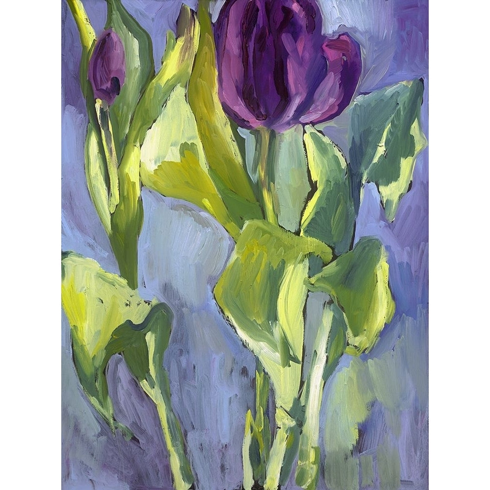 Violet Spring Flowers II Poster Print - Erin McGee Ferrell-VARPDX129748GG Image 1