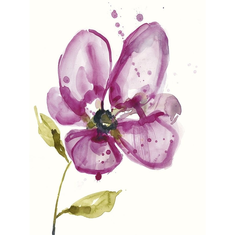 Violet Petals I Poster Print - Jennifer Goldberger-VARPDX129990FN Image 1