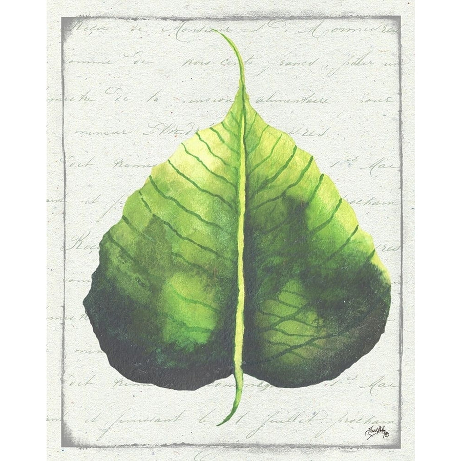 Emerald Leaf II Poster Print by Elizabeth Medley-VARPDX13005 Image 1