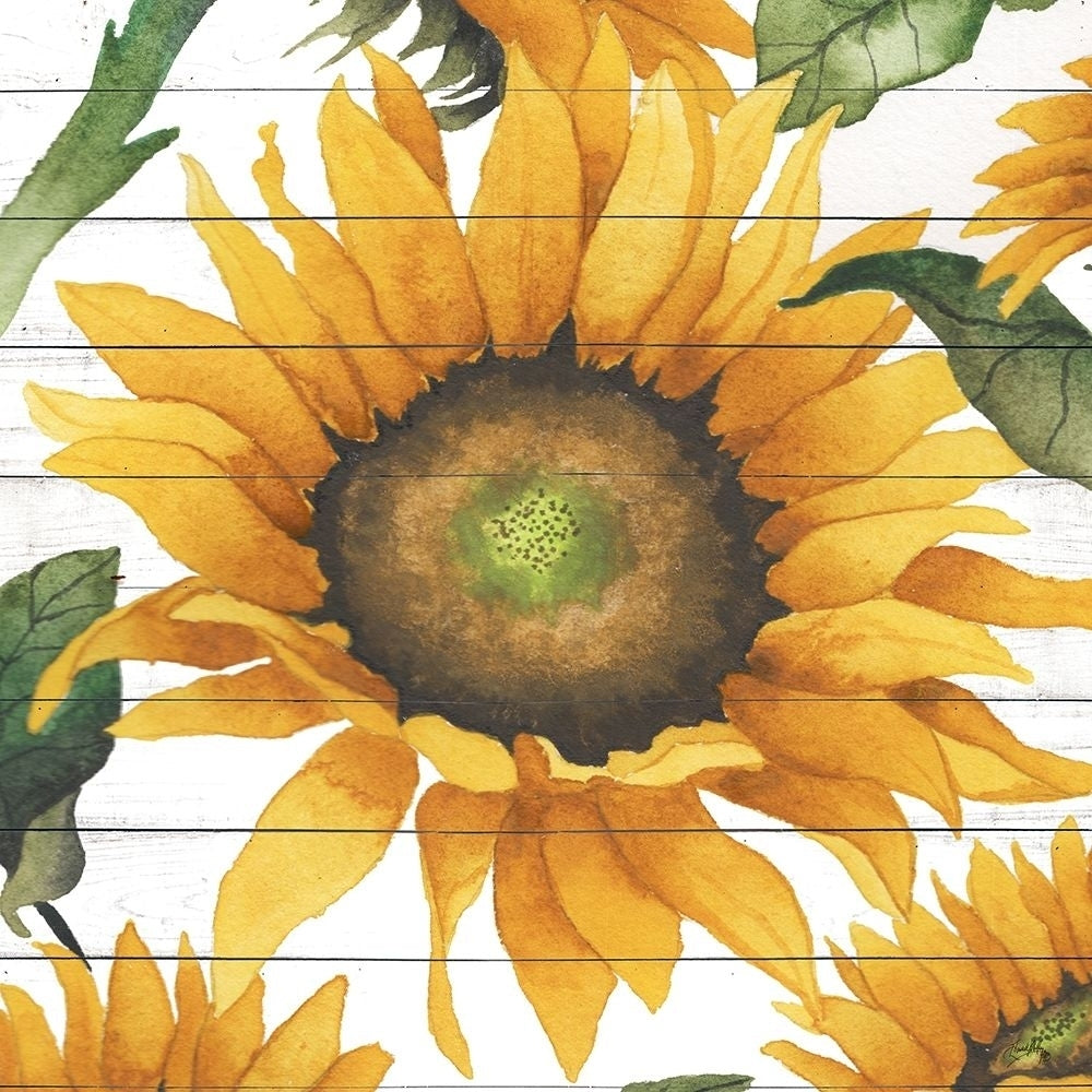 Happy Sunflower I Poster Print by Elizabeth Medley-VARPDX13037CQ Image 1