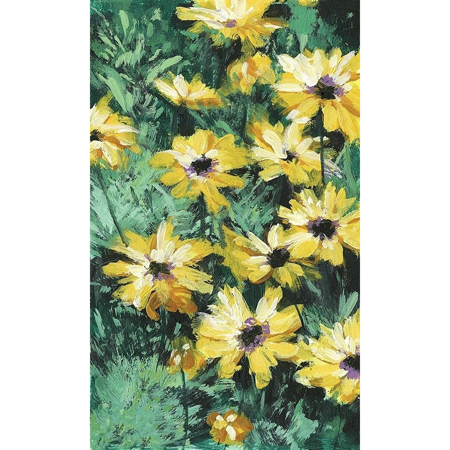 Floral Impressions II Poster Print - Melissa Wang-VARPDX130426Z Image 1