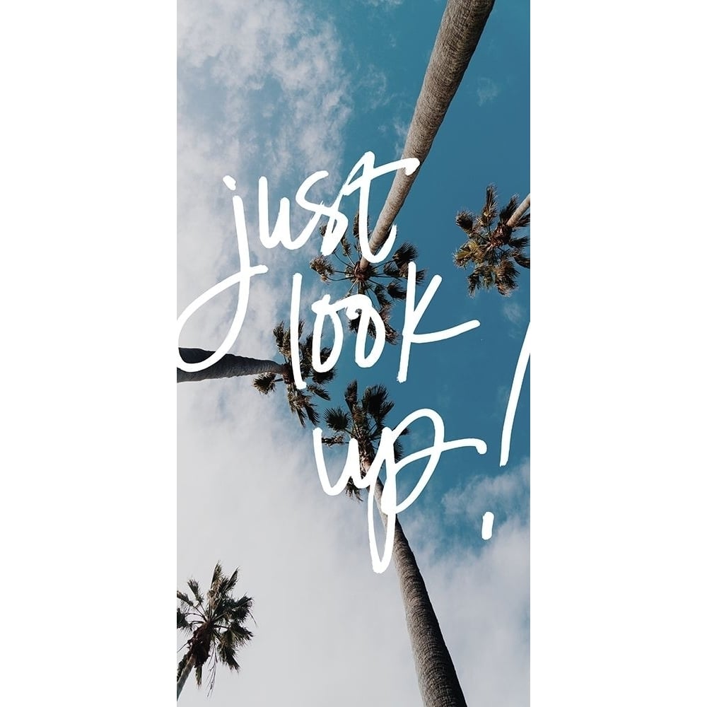 Just Look Up Panel Poster Print by Wil Stewart-VARPDX13043BD Image 1