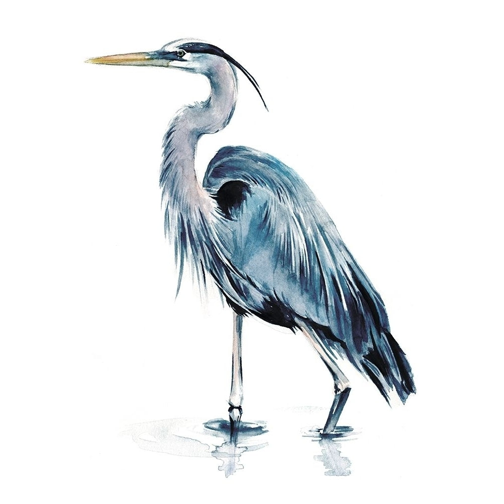 Blue Blue Heron II Poster Print - Jennifer Paxton Parker-VARPDX130550GG Image 1