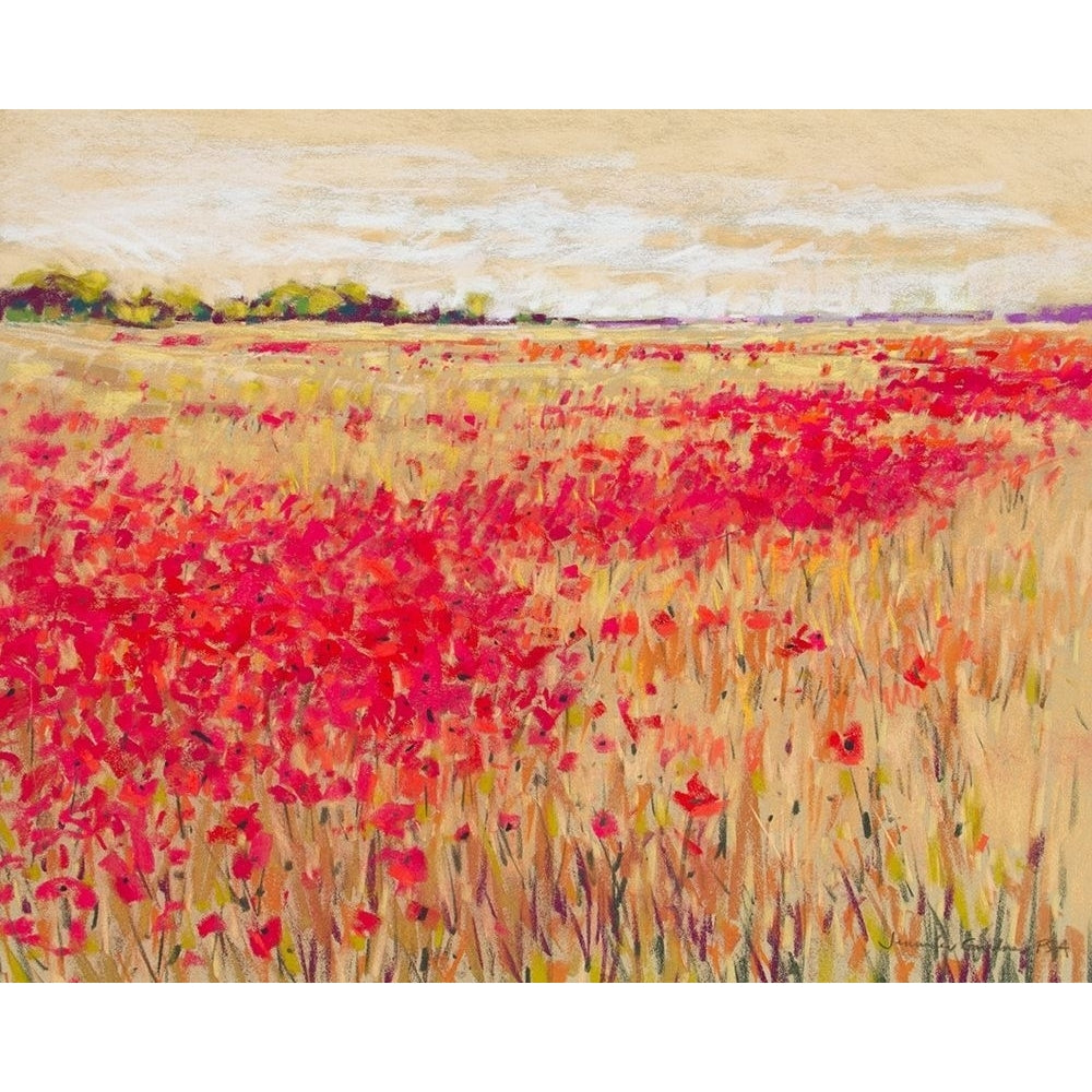 Poppies Evening Light I Poster Print - Jennifer Gardner-VARPDX130582GG Image 1