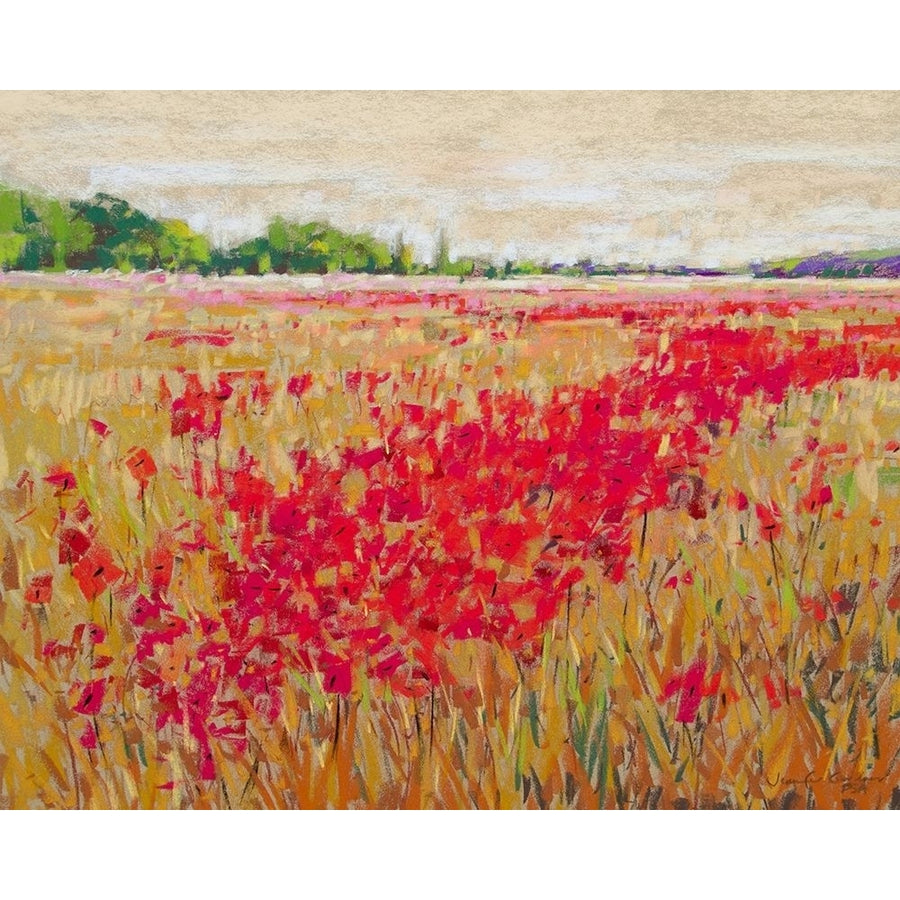 Poppies Evening Light II Poster Print - Jennifer Gardner-VARPDX130583GG Image 1