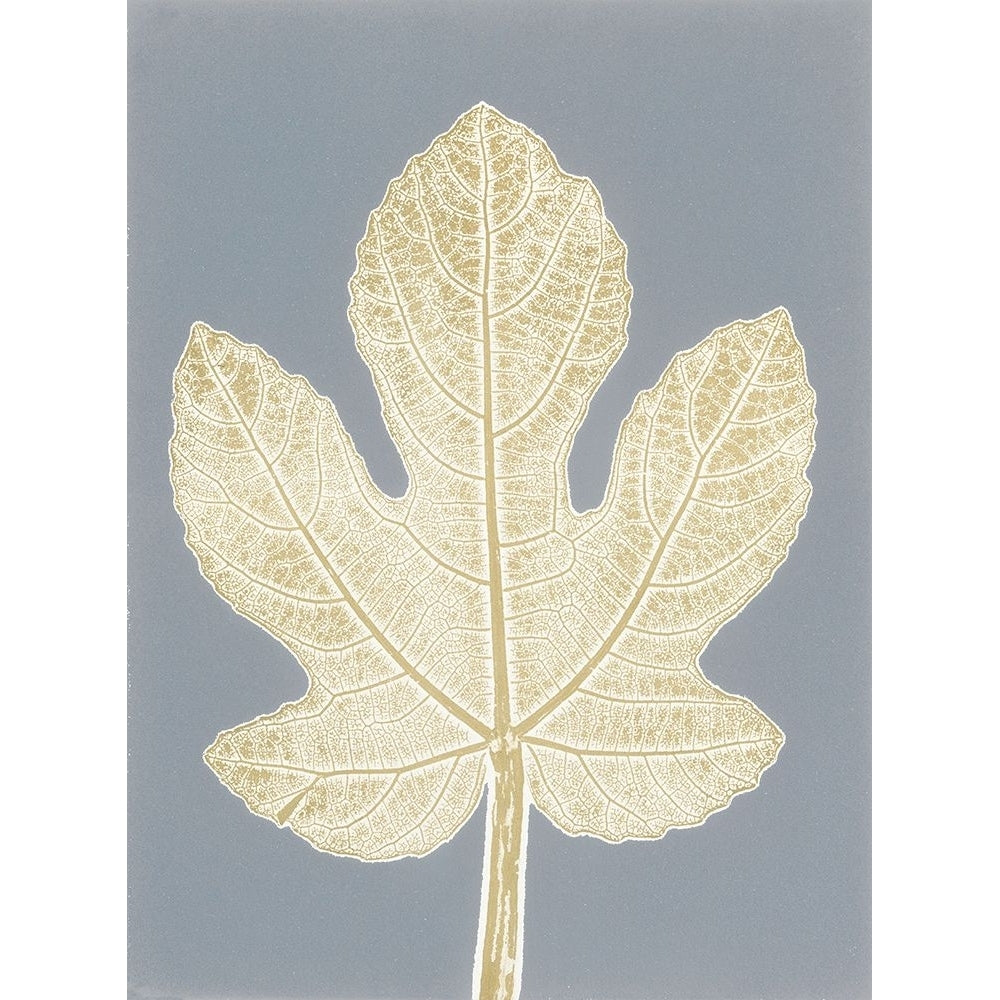 Leaf B Poster Print - Studio MMB-VARPDX130584 Image 1