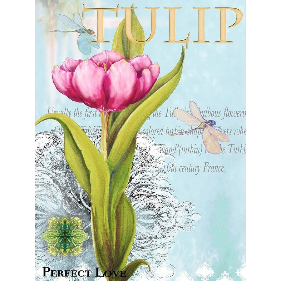 Elegant Tulip I Poster Print by Diannart-VARPDX13060 Image 1