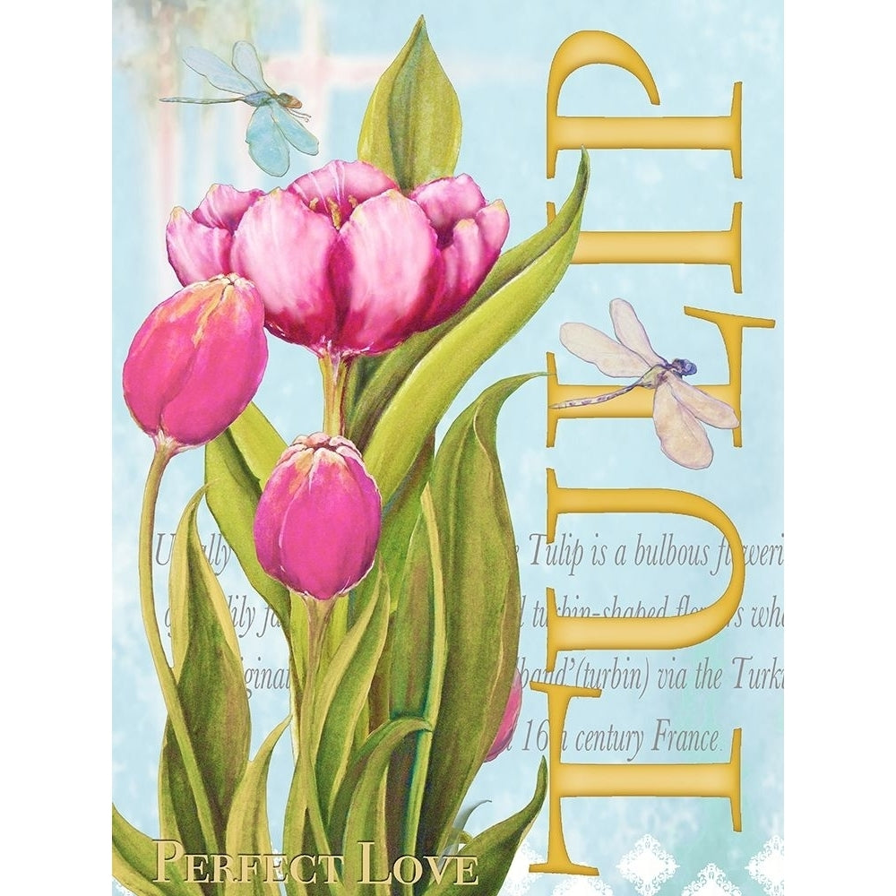 Elegant Tulip II Poster Print by Diannart-VARPDX13061 Image 1