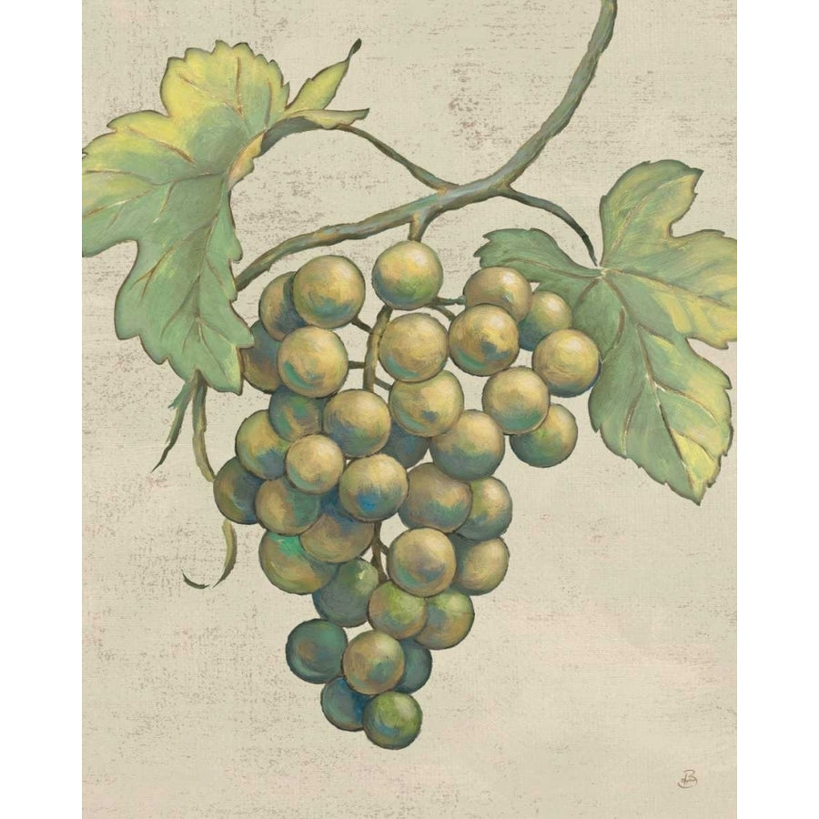 Lovely Fruits IV Neutral Plain Poster Print by Daphne Brissonnet-VARPDX13071 Image 1