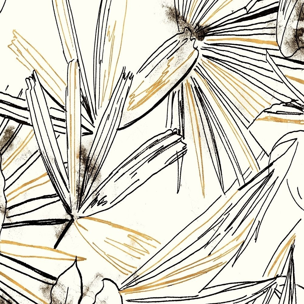 Selva Black And Gold Sketch II by Patricia Pinto-VARPDX13095N Image 1