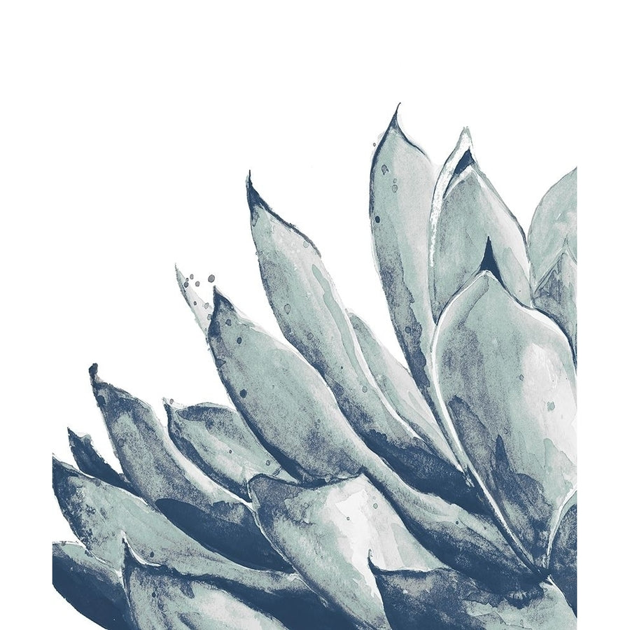 Blue Agave on White I Poster Print by Patricia Pinto-VARPDX13097L Image 1