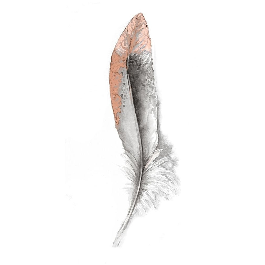 Soft Feather I Poster Print by Diannart-VARPDX13135CG Image 1