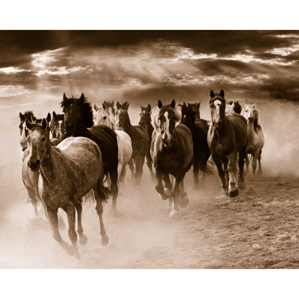 Running Horses Poster Print by Monte Nagler-VARPDX13143 Image 1