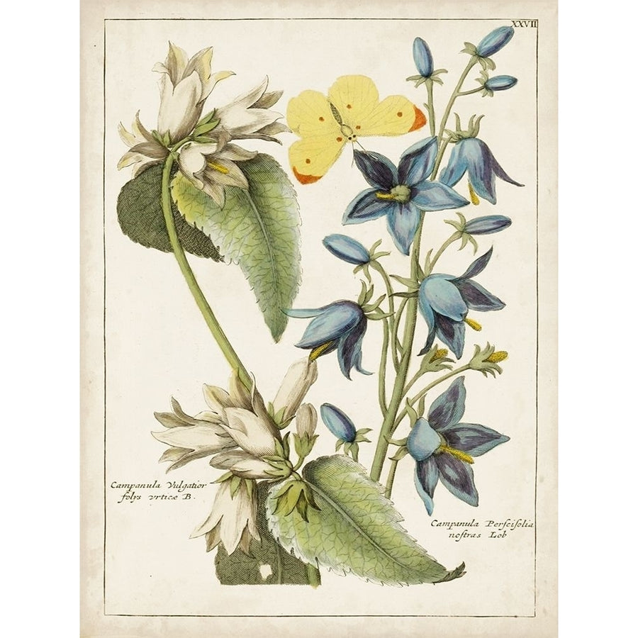 Botanical Bouquet I Poster Print - Unknown-VARPDX131545Z Image 1