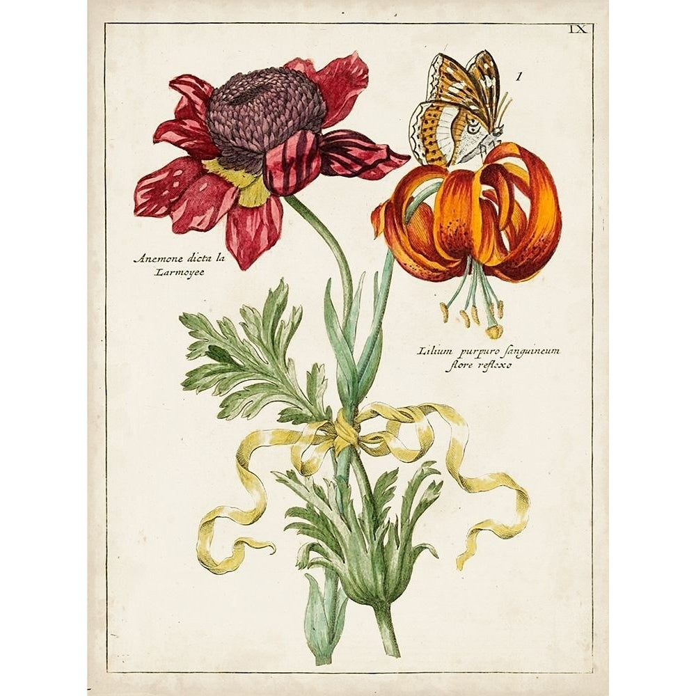 Botanical Bouquet II Poster Print - Unknown-VARPDX131546Z Image 1