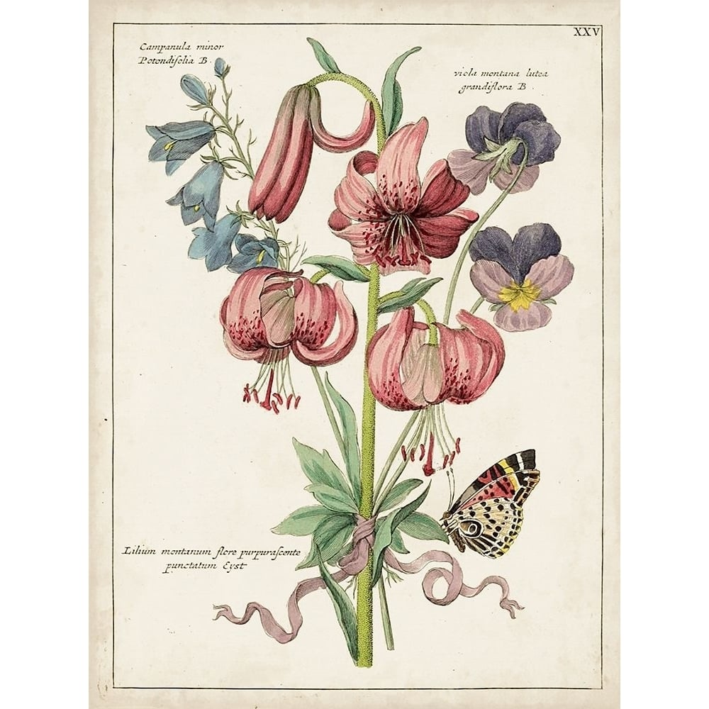 Botanical Bouquet III Poster Print - Unknown-VARPDX131547Z Image 1