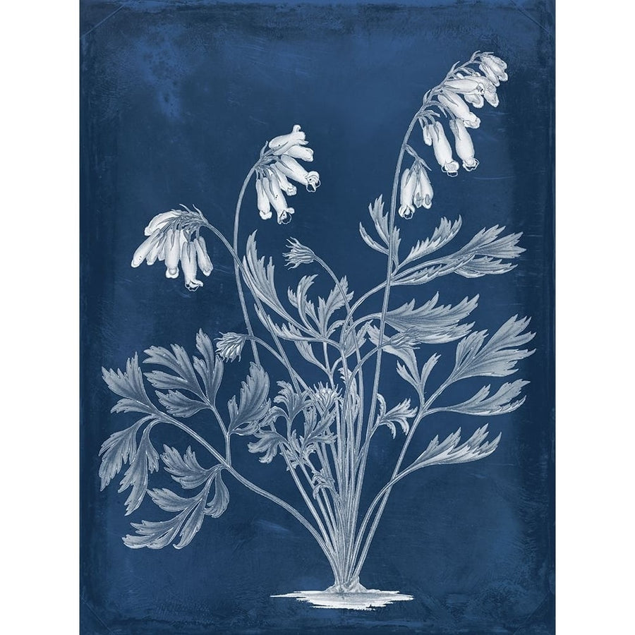 Botanical in Indigo I Poster Print - Studio Vision-VARPDX131626Z Image 1