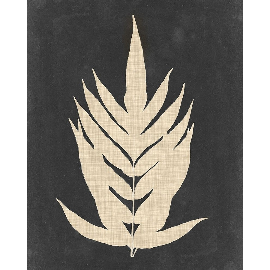 Linen Fern II Poster Print - Studio Vision-VARPDX131635Z Image 1