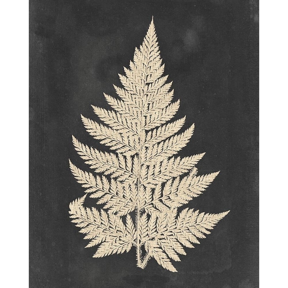 Linen Fern I Poster Print - Studio Vision-VARPDX131634Z Image 1