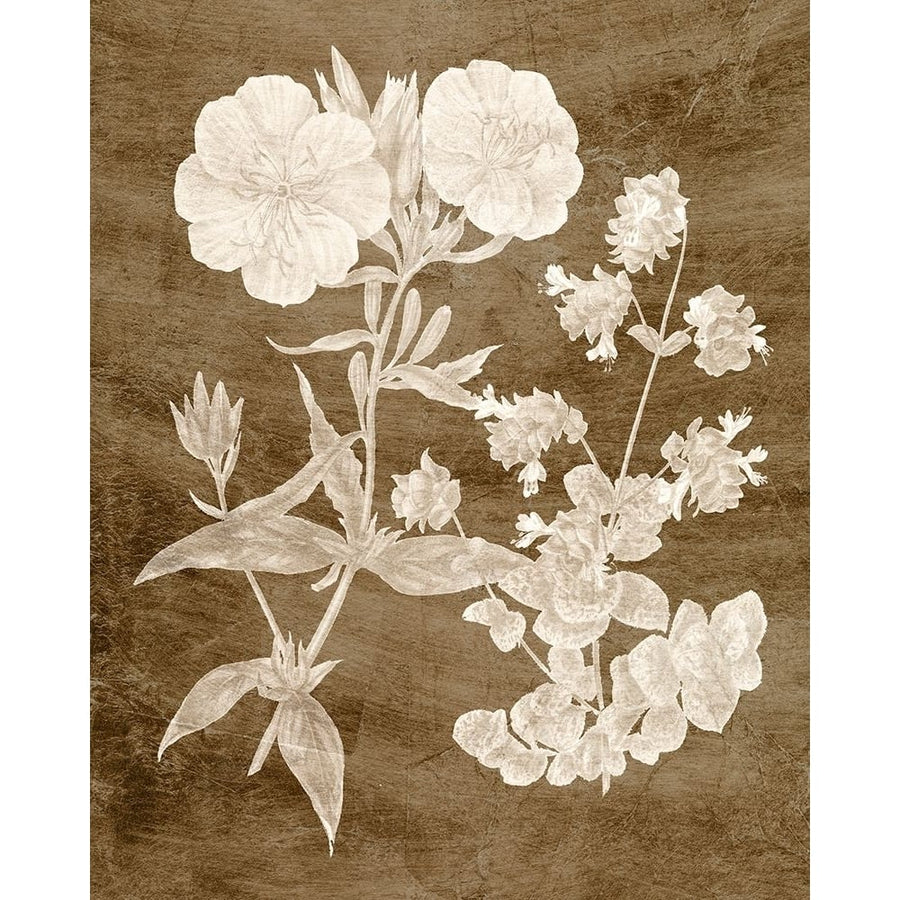 Botanical in Taupe II Poster Print - Studio Vision-VARPDX131631Z Image 1