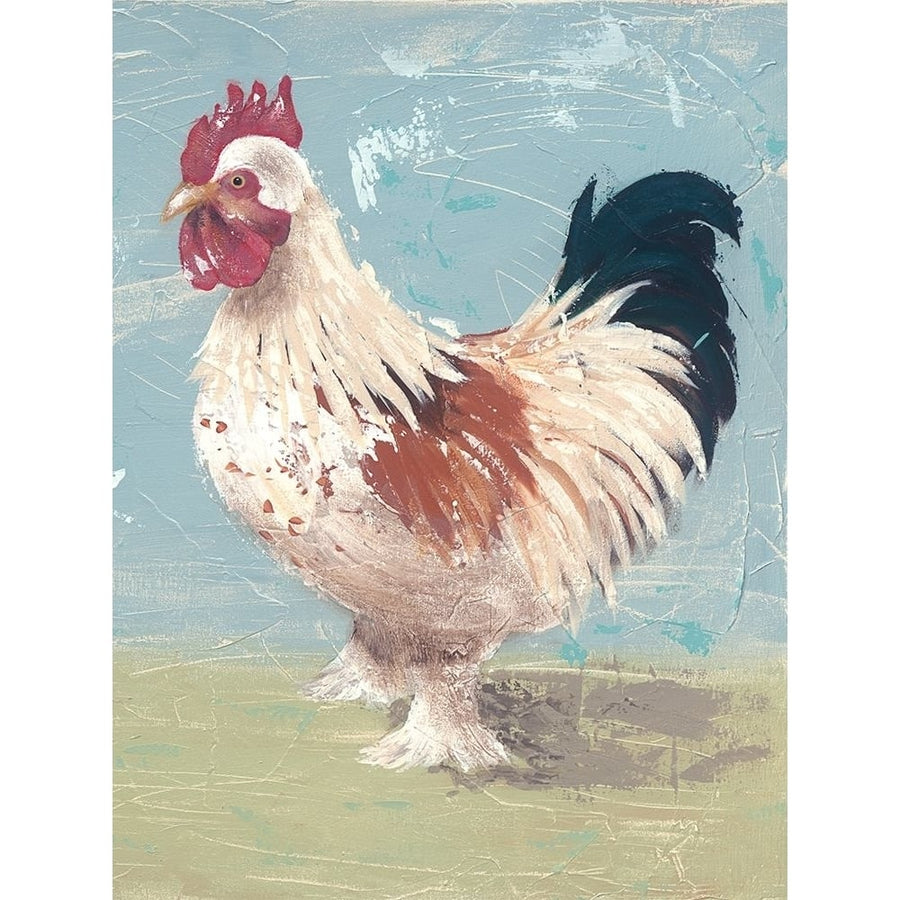 Farm Life-Chickens II Poster Print - Jade Reynolds-VARPDX131699GG Image 1