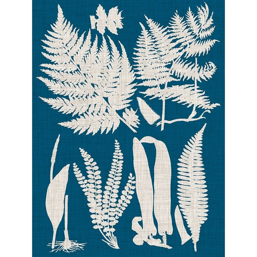 Linen and Blue Ferns I Poster Print - Studio Vision-VARPDX131769Z Image 1