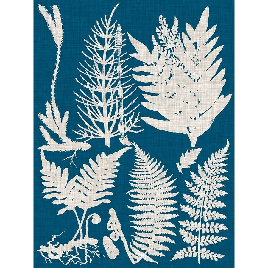 Linen and Blue Ferns II Poster Print - Studio Vision-VARPDX131770Z Image 1