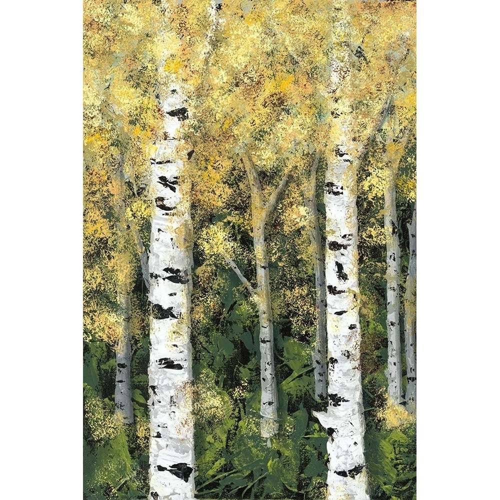 Birch Treeline I Poster Print - Jade Reynolds-VARPDX131885GG Image 1