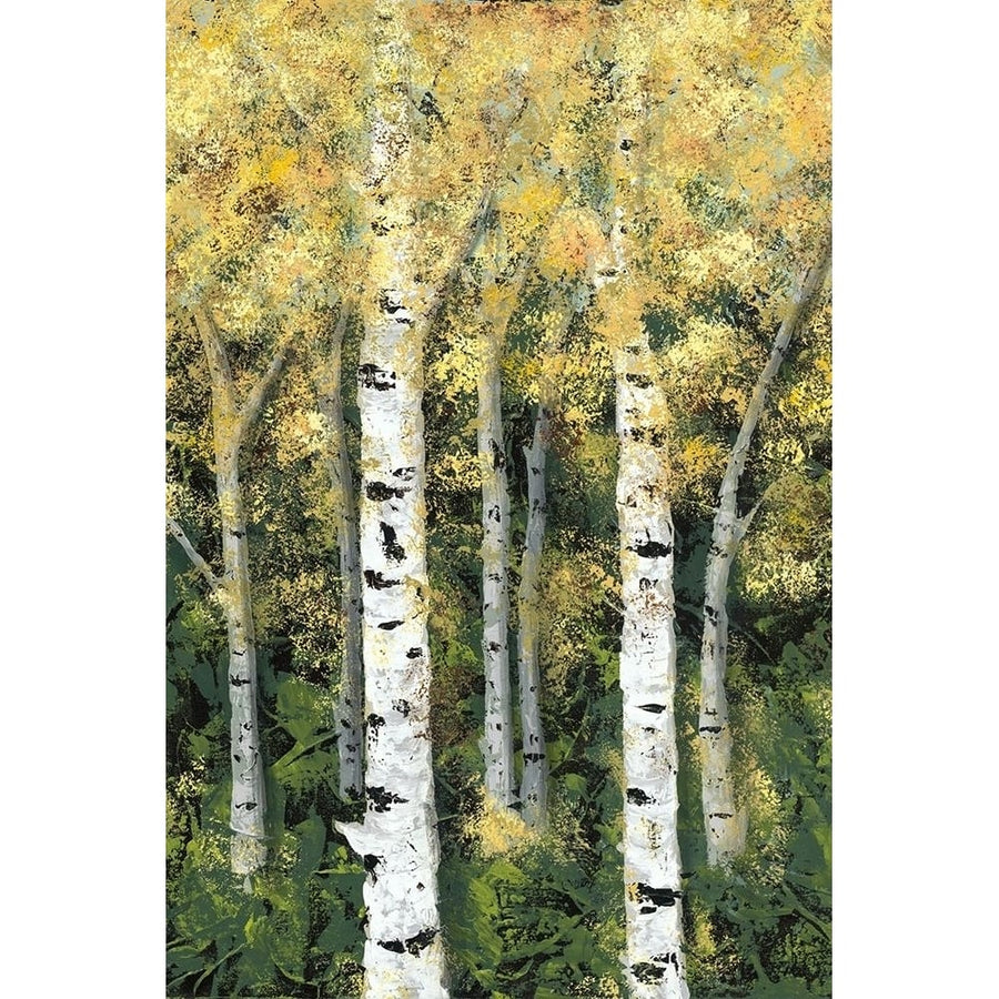 Birch Treeline II Poster Print - Jade Reynolds-VARPDX131886GG Image 1