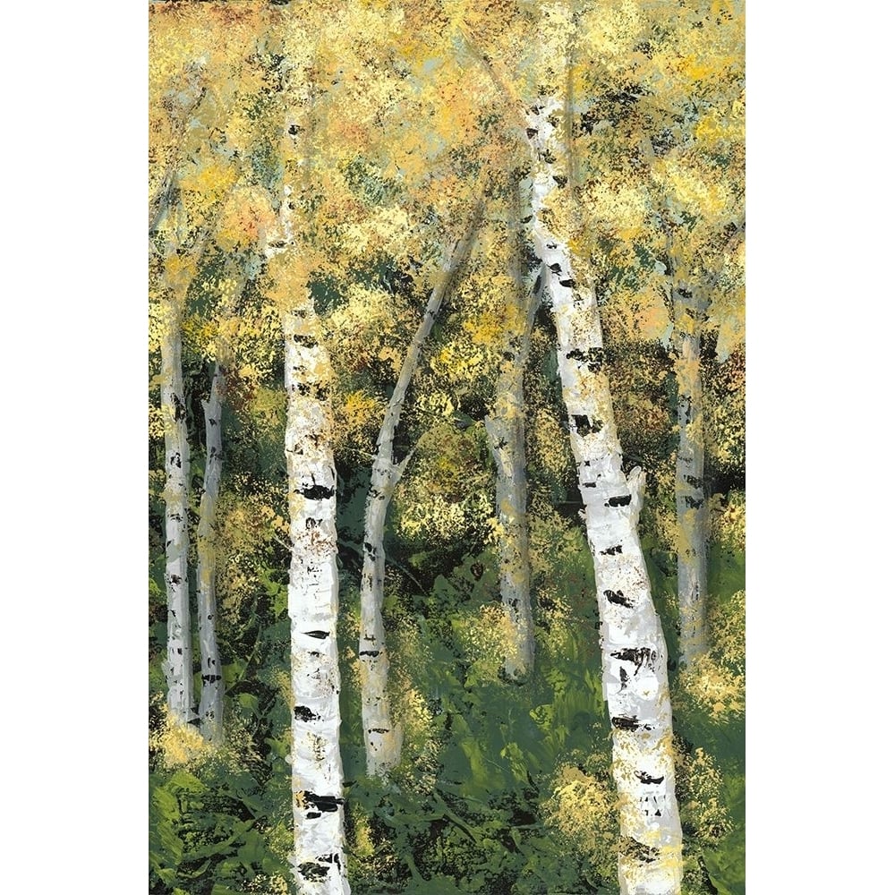 Birch Treeline III Poster Print - Jade Reynolds-VARPDX131887GG Image 1