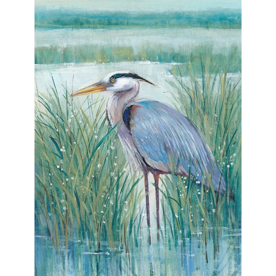 Wetland Heron II Poster Print - Tim OToole-VARPDX131972GG Image 1