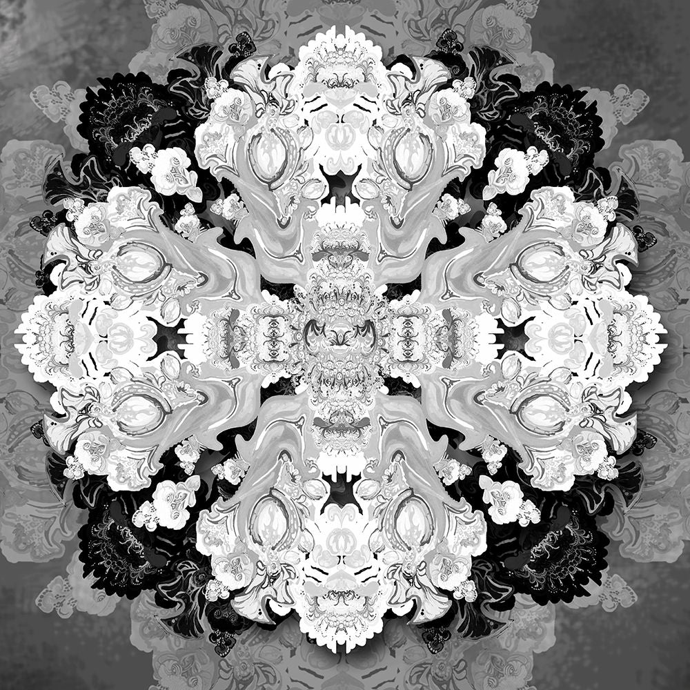 Decrative Kaleidoscope I Poster Print by Diannart-VARPDX13206 Image 1