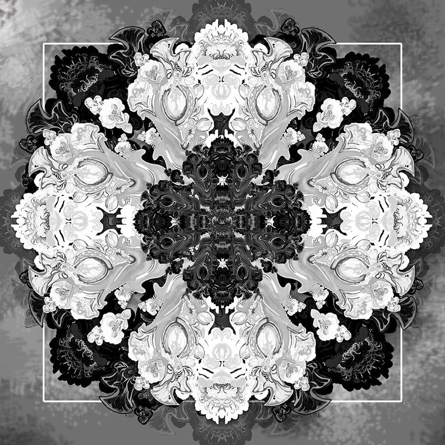 Decrative Kaleidoscope II Poster Print by Diannart-VARPDX13207 Image 1