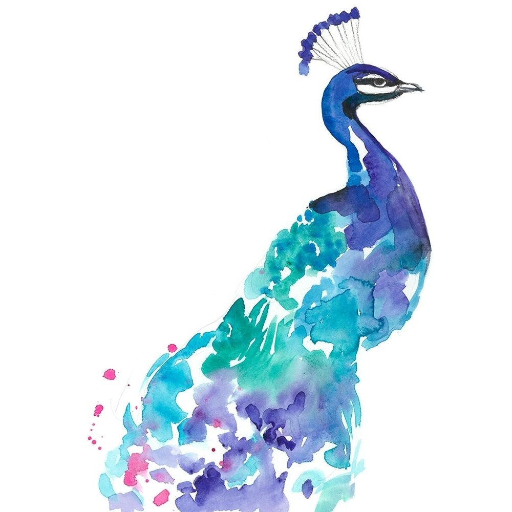 Peacock Splash I Poster Print - Jennifer Goldberger-VARPDX132297FN Image 1