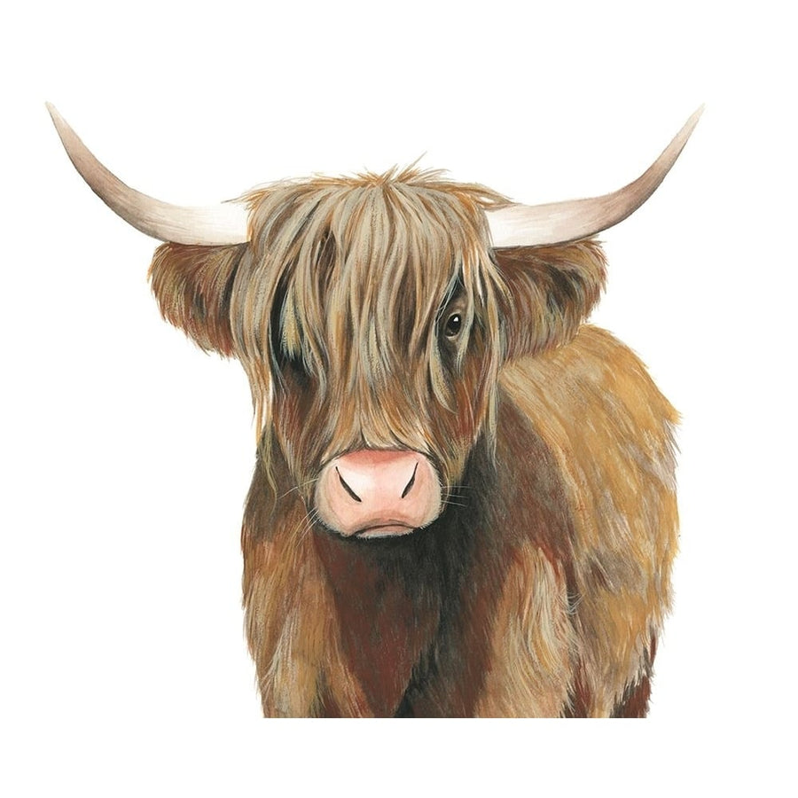 Highland Cattle II Poster Print - Grace Popp-VARPDX132351GG Image 1