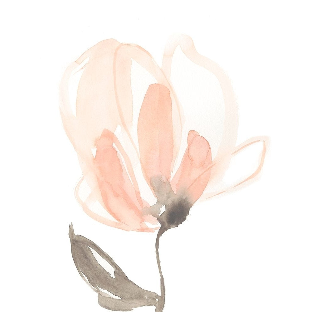 Blush Petals II Poster Print - Jennifer Goldberger-VARPDX132508FN Image 1