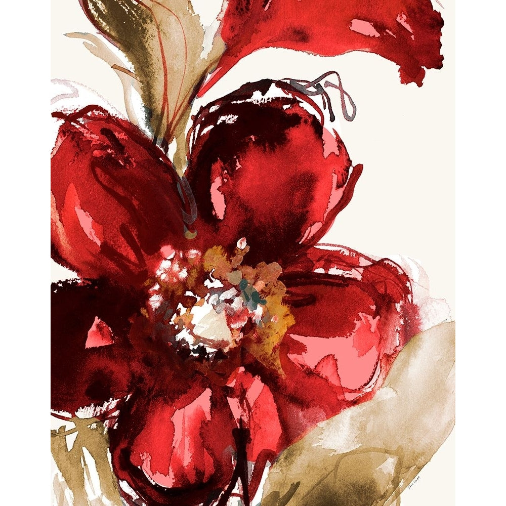 Bright Red Bloom I Poster Print - Lanie Loreth-VARPDX13272HB Image 1