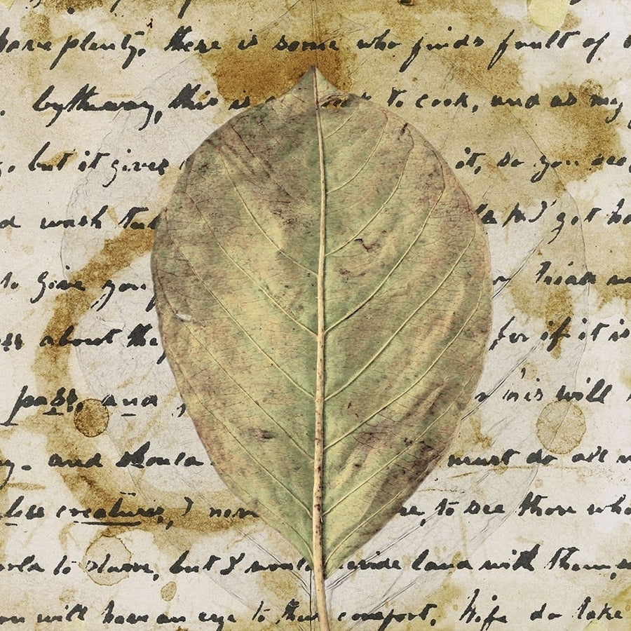 Earth Leaf II Poster Print - Alonzo Saunders-VARPDX132770D Image 1