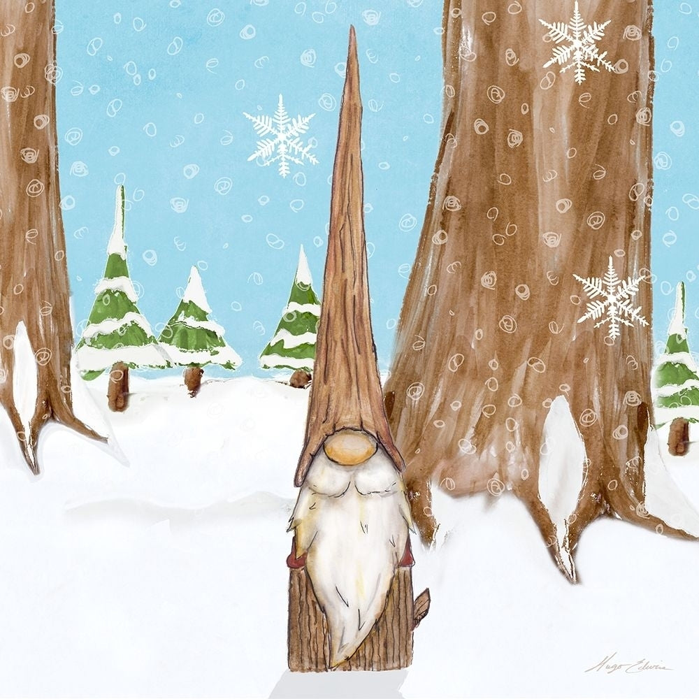 Winter Gnome III Poster Print by Hugo Edwins-VARPDX13292AA Image 1