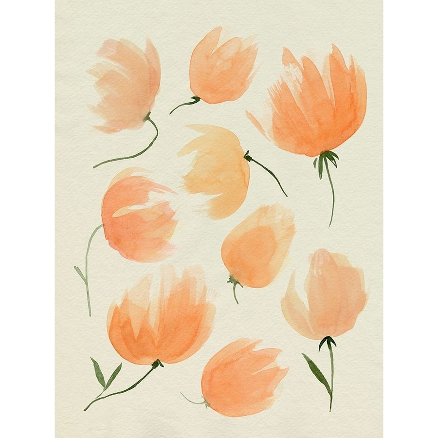 Fallen Flowers II Poster Print - Grace Popp-VARPDX133023Z Image 1